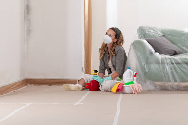 Reliable Mold Remediation contractor in Jacksonville, NC by WQB Mold Removal